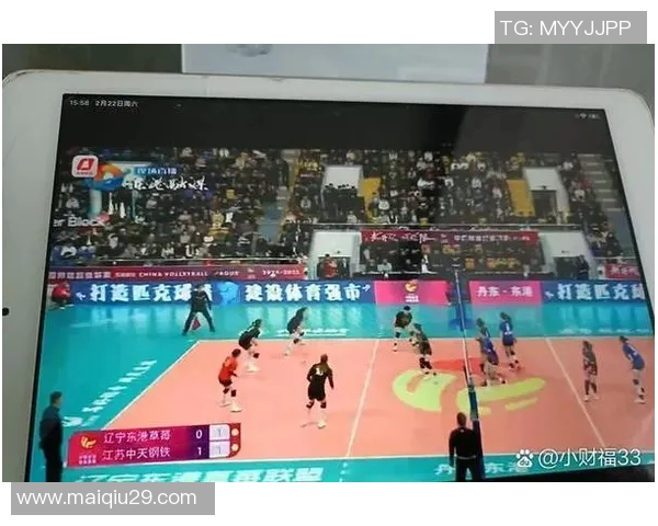 实时新闻南京排球队的训练与赛事状态全解析展现排球魅力与团队精神